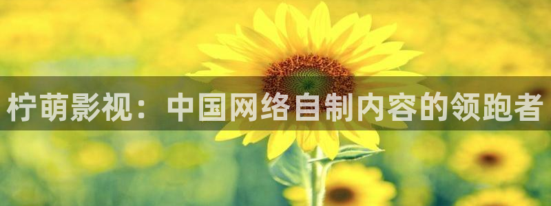 西瓜电影免费在线