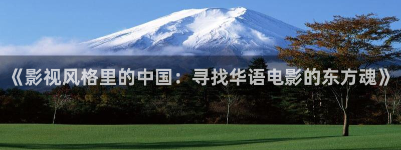 理论片西瓜影院免费观看