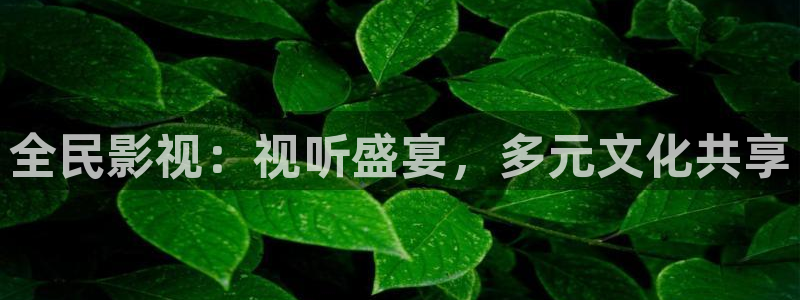 西瓜影院电视剧